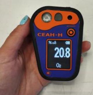 Портативный газоанализатор СЕАН-Н